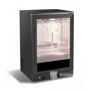 Combisteel dry age kast 7455.1950
